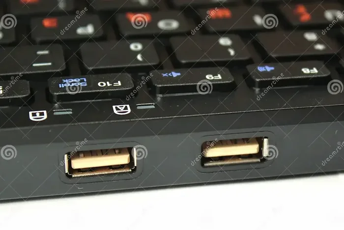 Why Do Keyboards Have 2 Usb Ports