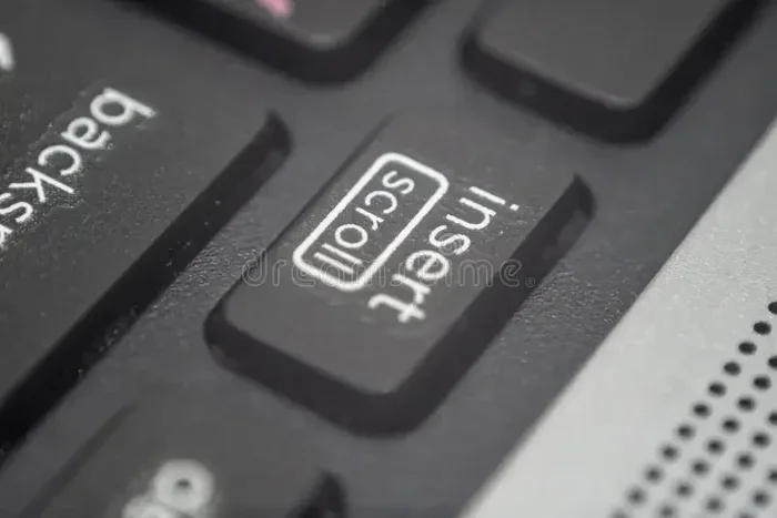 What Is the Ins Key