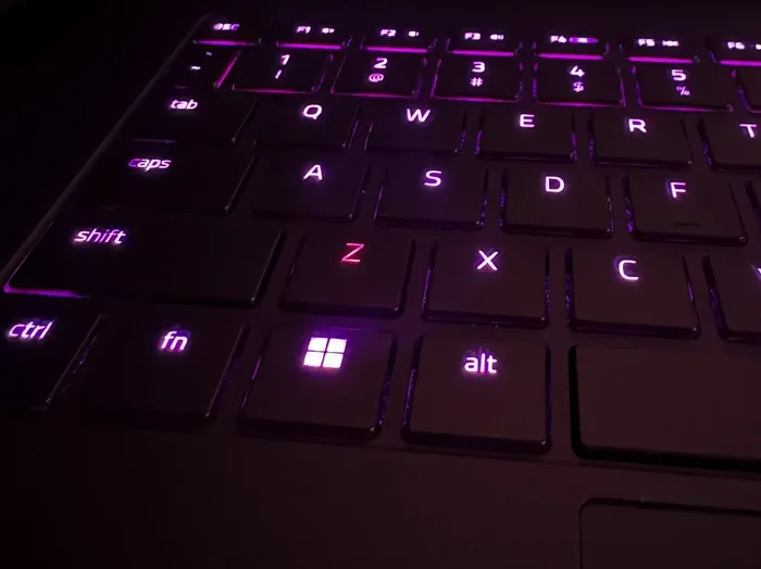 Laptop Pressing Keys on Its Own
