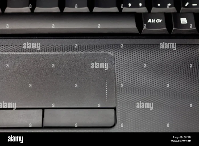 What Is a Synaptics Pointing Device Driver