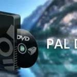 What Is Pal Format Dvd