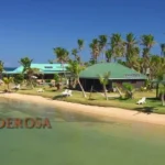 Survivors Ponderosa Explained What Happens After Elimination