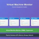 What Is Vmx