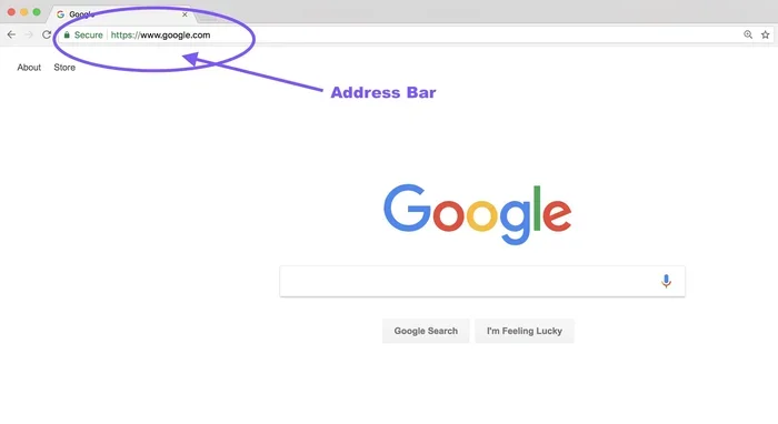 What Is a Url Bar